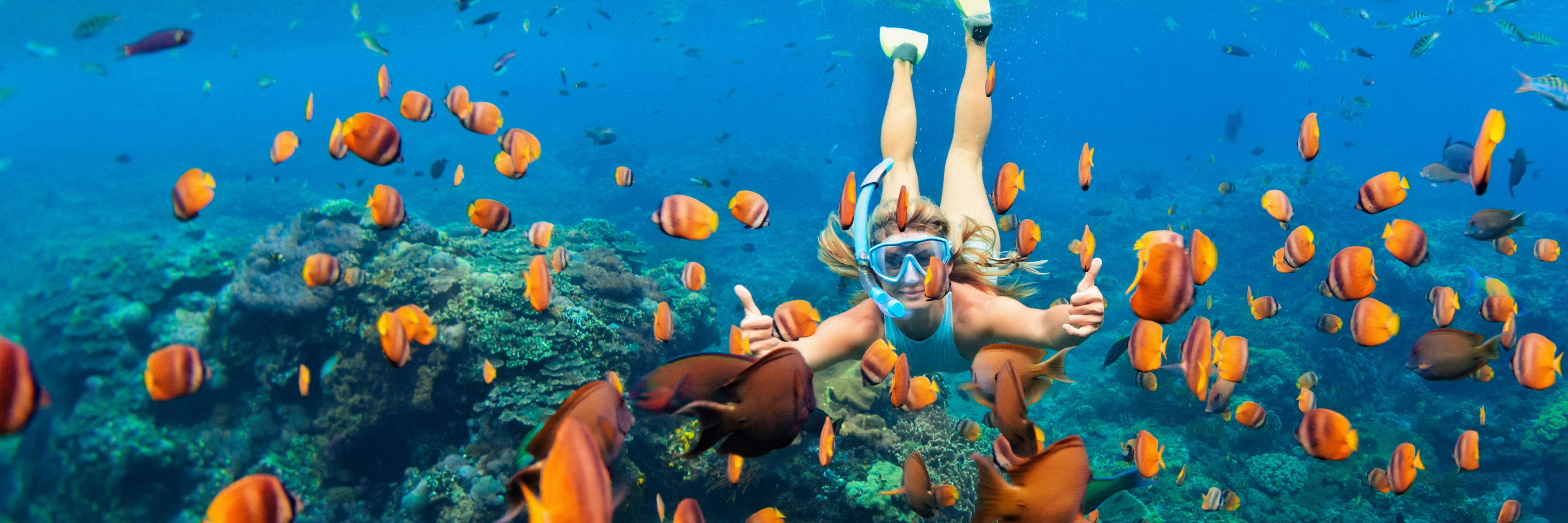 SNORKELING AT MNEMBA CORAL GARDENS