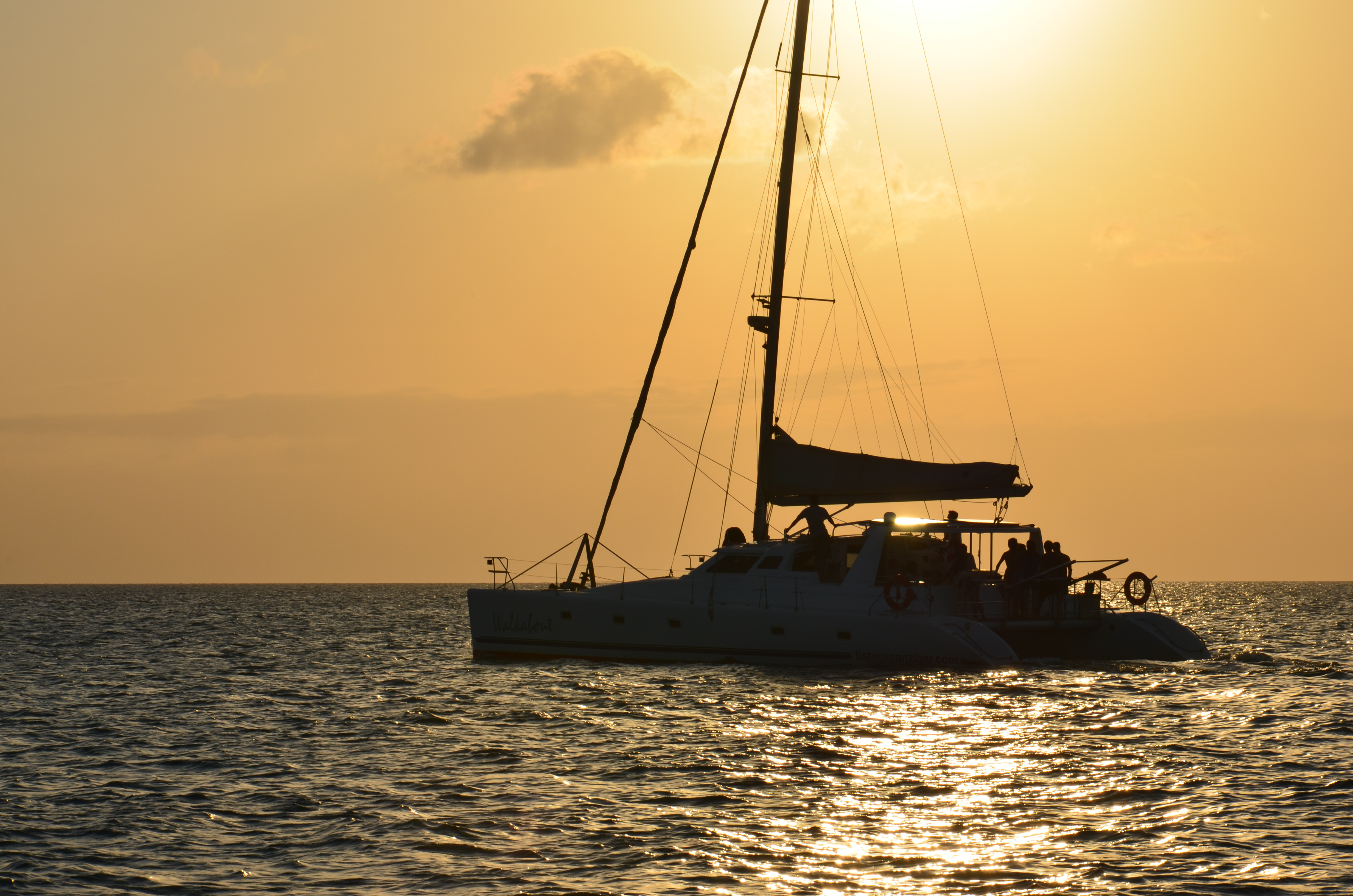 Catamaran Luxury Experience